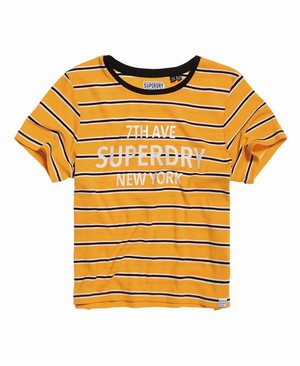 Superdry Rae Stripe Női Pólók Csíkok | NWQJT9687